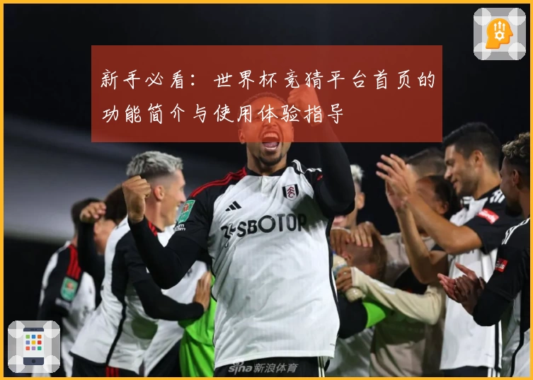新手必看：世界杯竞猜平台首页的功能简介与使用体验指导