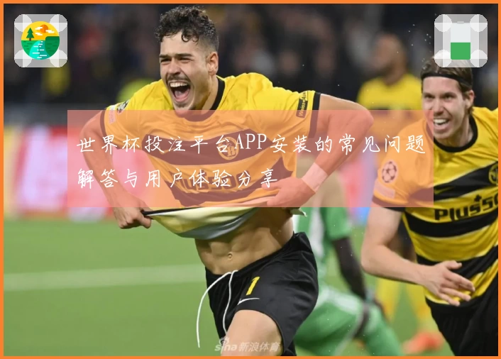 世界杯投注平台APP安装的常见问题解答与用户体验分享