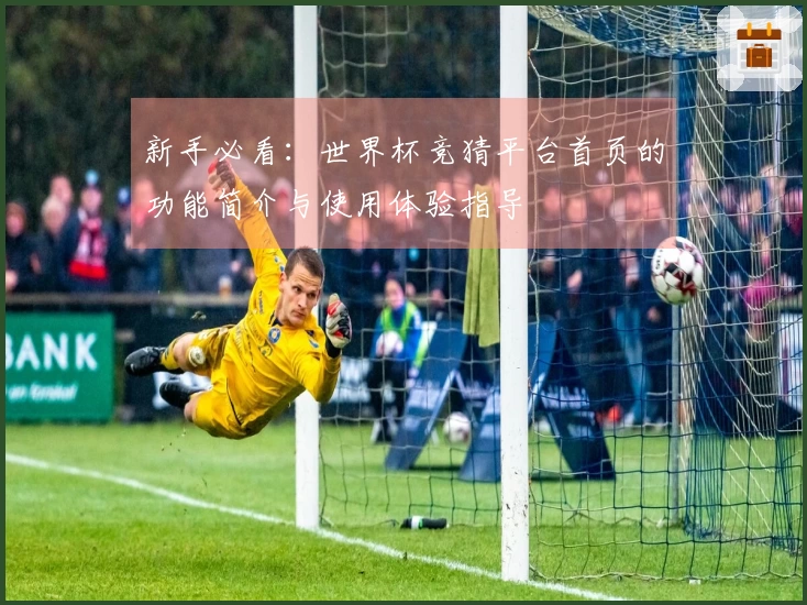 新手必看：世界杯竞猜平台首页的功能简介与使用体验指导