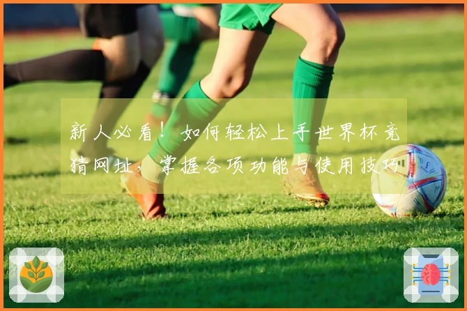 新人必看！如何轻松上手世界杯竞猜网址，掌握各项功能与使用技巧