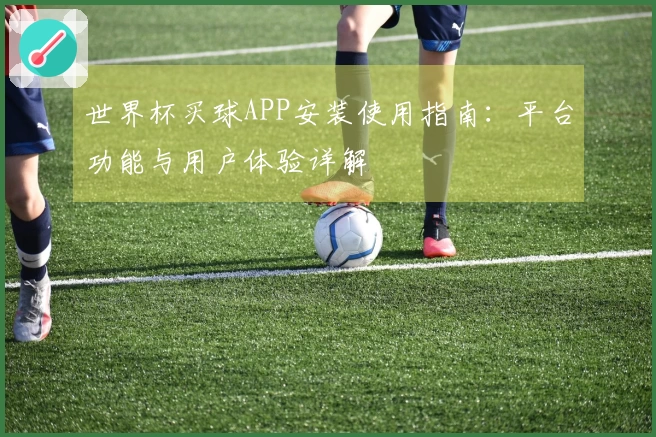 世界杯买球APP安装使用指南：平台功能与用户体验详解